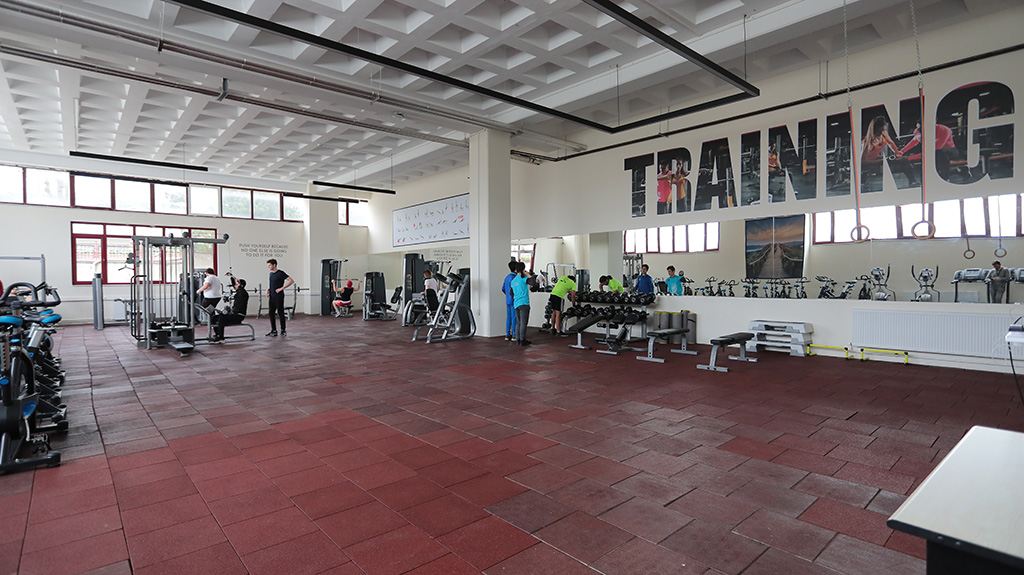 Image 6